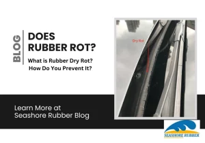 Does Rubber Rot - Seashore