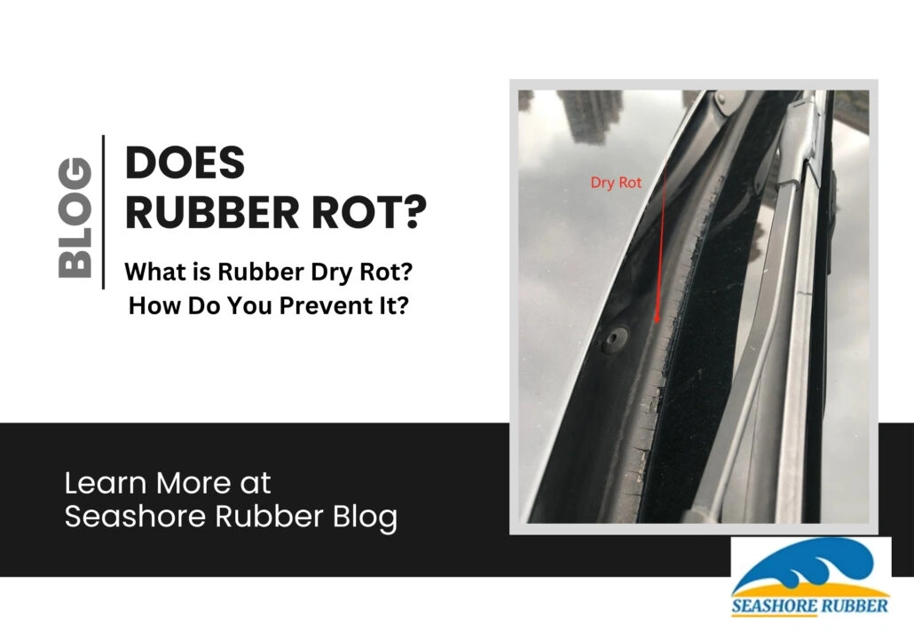 Does Rubber Rot - Seashore