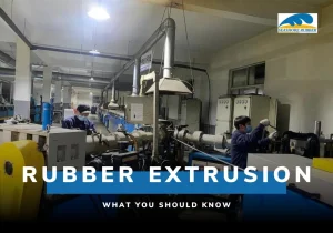 Rubber Extrusion Process